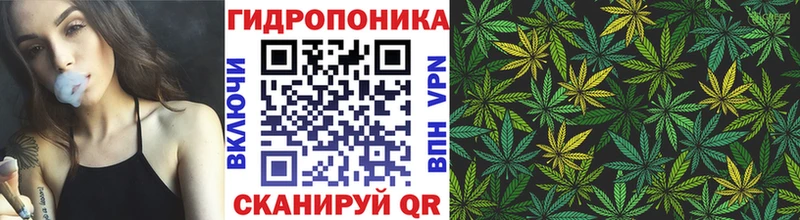купить закладку  Барабинск  нарко площадка официальный сайт  Марихуана планчик 
